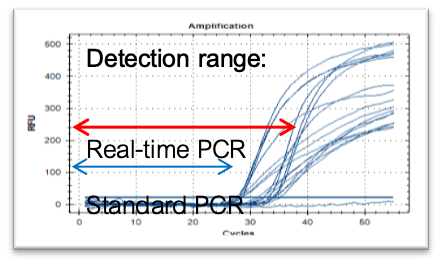 Graph showing advantages of qPCR detection over standard PCR